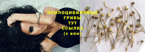 твердый Волоколамск
