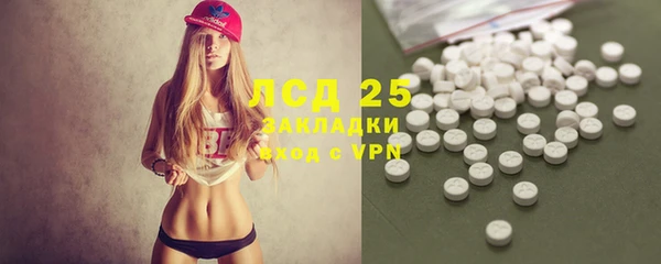 индика Вяземский