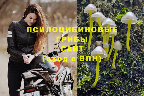 mdpv Волосово