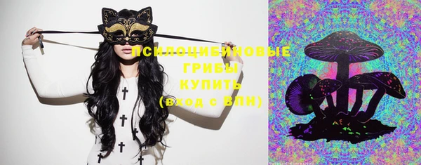 твердый Волоколамск