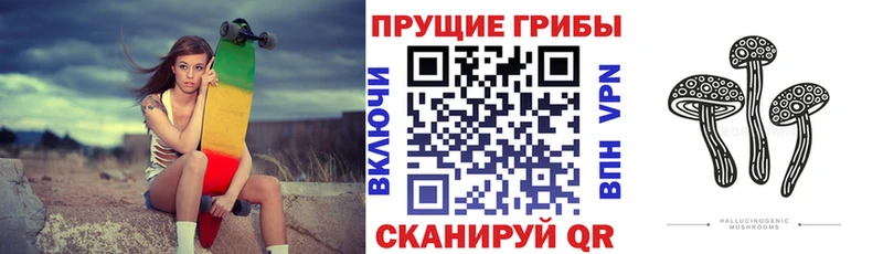 сколько стоит  Альметьевск  Галлюциногенные грибы GOLDEN TEACHER 